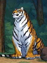 Tiger Brother - Barkhan