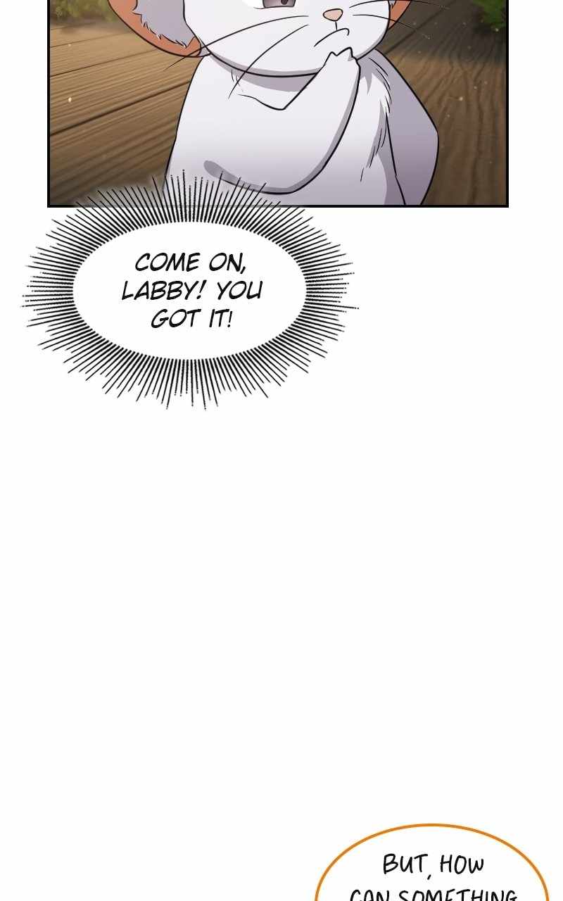 Let's Read The Laws of Cultivation Chapter 17 Manga Manhwa Comic toon Online Everyday English Translation on Reaper-scan | Read Manga Everyday